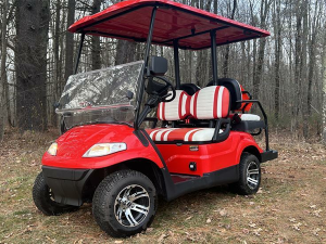 stockton golf cart mobile service, mobile golf cart repair, battery charge